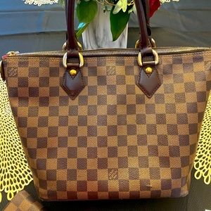 Louis Vuitton Saleya Damier Ebene MM